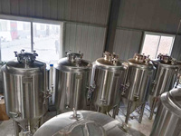 Équipement de traitement et de fermentation de la bière et de l'alcool en cuve sous pression de 700 L