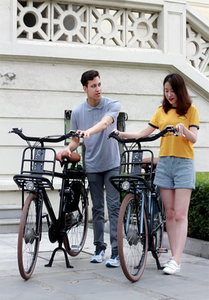 Vélo cargo électrique Retro City avec cadre en alliage d'aluminium, batterie au lithium à 3 vitesses - Product Image 5