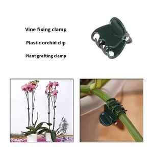Clip de fixation pour plantes grimpantes, petit modèle vert en plastique PP, pour orchidées, Epipremnum Pinnatum, greffage de plantes de balcon - Product Image 4
