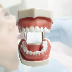 เครื่องถอนฟันแบบใช้สำหรับศึกษาทางทันตกรรม,สำหรับดึงฟันปลอม - Product Image 2