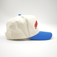 Casquette de baseball structurée vintage à 5 panneaux en tissu Oxford Dobby avec logo brodé personnalisé, bicolore, tendance, imperméable et à fermeture snapback