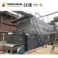 Mesin Generator Uap Bertekanan Rendah Hemat Energi Otomatis dengan Kapasitas 2,5 Ton, Berbahan Bakar Batubara, dan Sistem Rantai Grate untuk Pabrik