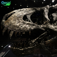 Réplique de dinosaure véritable Gecai et os de squelette de diosaure