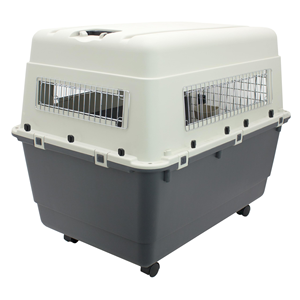 <span class=keywords><strong>Caisse</strong></span> de transport pour animaux de compagnie en PP robuste avec porte métallique, boîte de voyage aérienne pour <span class=keywords><strong>chien</strong></span>, économique et durable - Product Image 3