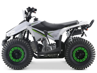 Quad tout-terrain Wanyang 110cc, moteur 4 temps, 2 roues motrices, acier, puissance portable pour enfants, transmission automatique par chaîne