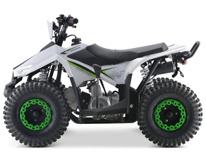 Wanyang 110cc off-road ATV Quad điện 4 thì công suất động cơ cho trẻ em tự động ổ đĩa xích - Product Image 5