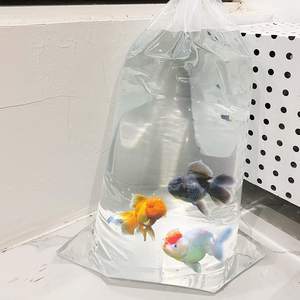 Sacs de transport pour poissons en polyéthylène transparent, étanches et recyclables, pour le stockage et le transport de poissons vivants - Product Image 3