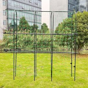 Support de treillis pour plantes, cadre rectangulaire en maille de fer, montage facile, pour légumes, fleurs, utilisation en extérieur dans le jardin - Product Image 6