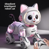 Robot électrique intelligent télécommandé jouet pour chat pour enfants compagnon spécial transfrontalier pour garçons filles en plastique