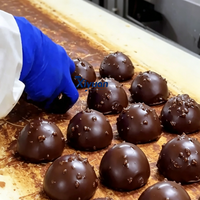 Grande machine à enrober les glaces congelées au chocolat, pour la fabrication de mélange de morceaux de noix, destinée aux usines de transformation d'aliments et de boissons froides