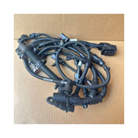 Arnés de Cableado para Módulo de Control Electrónico de Motor DCEC QSG12 para Maquinaria de Ingeniería, 5575136