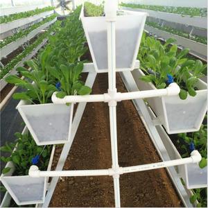 Sistema Hidropónico/Aeropónico Comercial para Cultivo de Fresas en Invernadero con Canales de PVC - Product Image 5