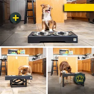 Ciotola per mangiatoia per cani e gatti regolabile portatile alta in acciaio inossidabile rialzata personalizzata