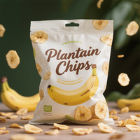 Sachets refermables pour chips de banane et de plantain, sachets refermables en forme de coussin pour chips de fruits, emballage en plastique pour chips de plantain