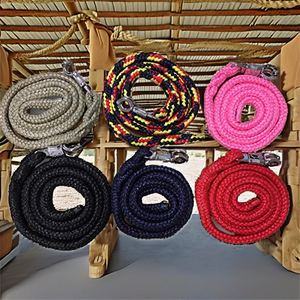 Heavy-Duty Nylon Pet/Horse Leash & Horse Bridle-15/16mm <b>Thick</b> Reinforced Alloy & Brass Hook 2m-4m Length Options - Product Image 2