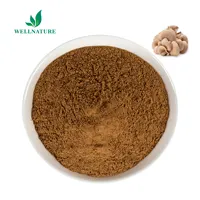 Extrait de Pleurotus ostratus 10% poudre d'extrait de champignon d'huitre de bonne qualité