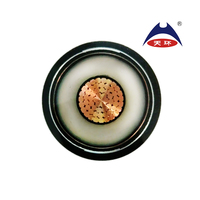 Cable de Alimentación ZR YJV62 26/35kV, Monofásico, Retardante de Llama, Aislamiento XLPE, Cubierta STA PVC, 50mm 70mm 95mm, para Estación de Energía Ferroviaria, 500m