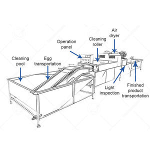 Limpiador de huevos sucios industriales OCEAN, línea de lavado de huevos, máquina clasificadora de secado de huevos de ganso de acero inoxidable - Product Image 2