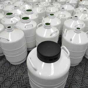 Réservoir de stockage statique d'<span class=keywords><strong>azote</strong></span> liquide de qualité clinique de 15 L pour la <span class=keywords><strong>dermatologie</strong></span> et la FIV, congélation de petits échantillons - Product Image 6