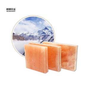 Ladrillos de Sal Rosa del Himalaya Naturales Resistentes al Ácido - Diseño Contemporáneo para Uso en Hoteles, Industria de Saunas, Ladrillo de Sal Rosa - Product Image 2