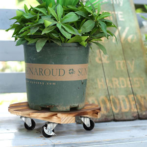 <strong>Plant</strong> Caddies With <strong>Wheels</strong> Durable Sturdy,<strong>Plant</strong> Caddy With Smooth Sliding <strong>Wheels</strong> Heavy Duty Rolling <strong>Plant</strong> <strong>Stand</strong> - Product Image 6