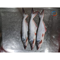 Pangasius Seafood Vietnam Basa Catfish Swai Poisson Entier Congelé en Gros pour le Commerce