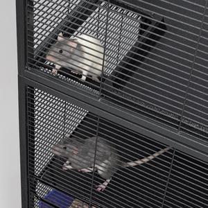 Yolen vente en gros <span class=keywords><strong>Amazoo</strong></span> petit animal quantité minimale de commande 3 couches chenil en métal de haute qualité chien chat hamster autres animaux de compagnie cages - Product Image 3