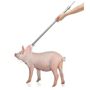 Nouvel Arrivage : Pince de préhension pour porcs en acier inoxydable, instrument vétérinaire multifonctionnel pour diagnostic, injection et sécurité, pour chiens et animaux sauvages - Product Image 1