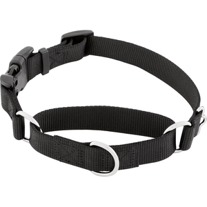 Collar de perro <span class=keywords><strong>Martingale</strong></span> de moda con hebilla de liberación rápida Collar fuerte a prueba de escape para perros pequeños medianos y grandes - Product Image 1