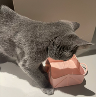 Bol de voyage pliable en silicone pour chiens et chats, pliable, 1000 ml, pour boire et manger en extérieur