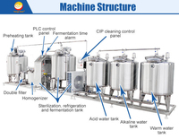 Ligne de production de pasteurisation du lait industrielle de 100L, 200L, 300L, 500L, 1000L, machine à fabriquer du yaourt liquide, équipement de transformation du yaourt, usine