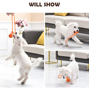 <span class=keywords><strong>ลูก</strong></span>บอลยางเรืองแสงในที่มืดสำหรับสุนัขและแมว - ทำความสะอาดฟันและแก้เบื่อ ของเล่นฝึกฝนกลางแจ้ง - Product Image 4