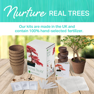 Kit de plantação de bonsai para crianças, kit de jardim doméstico ecológico com certificação orgânica do USDA