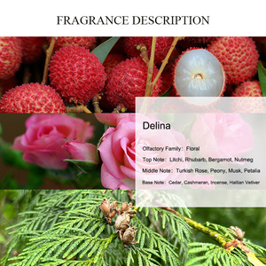 UNIQUE AROMA Marly Parfum <span class=keywords><strong>Delina</strong></span> 2026 Huiles de parfum de créateur pour femmes Huiles de parfum en gros Huiles de parfum de marque Usine d'huiles de parfum en Chine - Product Image 2