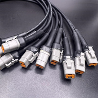 Câble de harnais personnalisé DTM06-4S avec prise CC 4 broches, âme en cuivre, isolation en nylon, pour alimentation automobile et appareils électroménagers