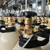 Bouteille de CO2 en acier avec homologation ISO9809 CE/TPED, capacité 2KG, 3KG, 4KG, 5KG, 6KG, 8KG, 10KG, cylindre de dioxyde de carbone, bouteille de gaz CO2