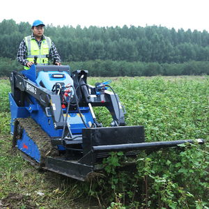 Mesin RIPPA EPA Kubota mesin selip <span class=keywords><strong>Steer</strong></span> <span class=keywords><strong>Loader</strong></span> murah <span class=keywords><strong>Crawler</strong></span> <span class=keywords><strong>Mini</strong></span> terlacak Skidsteer kecil untuk dijual - Product Image 3