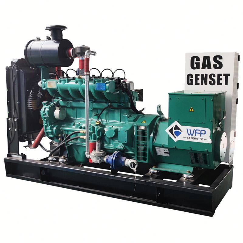 Bio Gas Natural Gas Generator 100