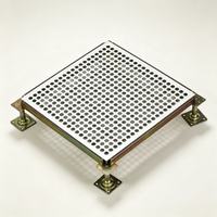 Panel Lantai Angkat Anti-Statik Berlubang Baja Ventilasi 45% dengan Finishing HPL, Sistem Pedestal Ketinggian Dapat Disesuaikan untuk Data