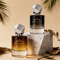Flacon de parfum écologique brun 100 ml, flacon de parfum de luxe en verre 50 ml, cylindre OEM 30 ml, flacon de parfum personnalisé avec couvercle