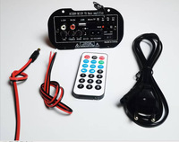HiFi POWER AMP Mini amplificateur 12V 24V 220V Compatible système Audio de voiture Subwoofer de 5 pouces à 10 pouces