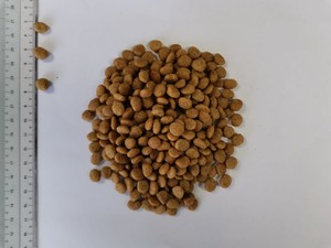 Gran oferta, bolsa de 20kg, sabor a ternera, comida seca para gatos adultos, marca privada, fábrica de nutrición para mascotas, aperitivos para gatos - Product Image 2
