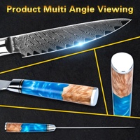 Skycook verkoopt 3,5 inch 67-laags VG10 Damascus staal schilmesjes/pareermesjes met blauw hars stabiel houten handvat