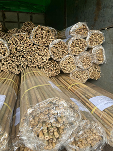 Canes de bambou agricoles pour vignobles, petit diamètre, couleur naturelle, séchées naturellement, longue durée, fabricant vietnamien, en vrac - Product Image 2