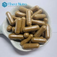 Capsules de plantes en vrac 400 mg Capsules de poudre de champignon Reishi