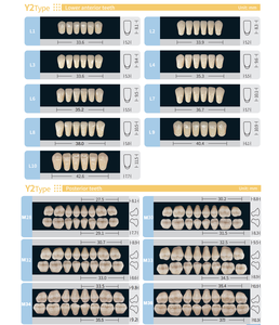 Résine plastique synthétique Lyaron, acrylique, dents artificielles manuelles, certifiées CE, classe II, consommables dentaires avec une durée de conservation de 3 ans - Product Image 6