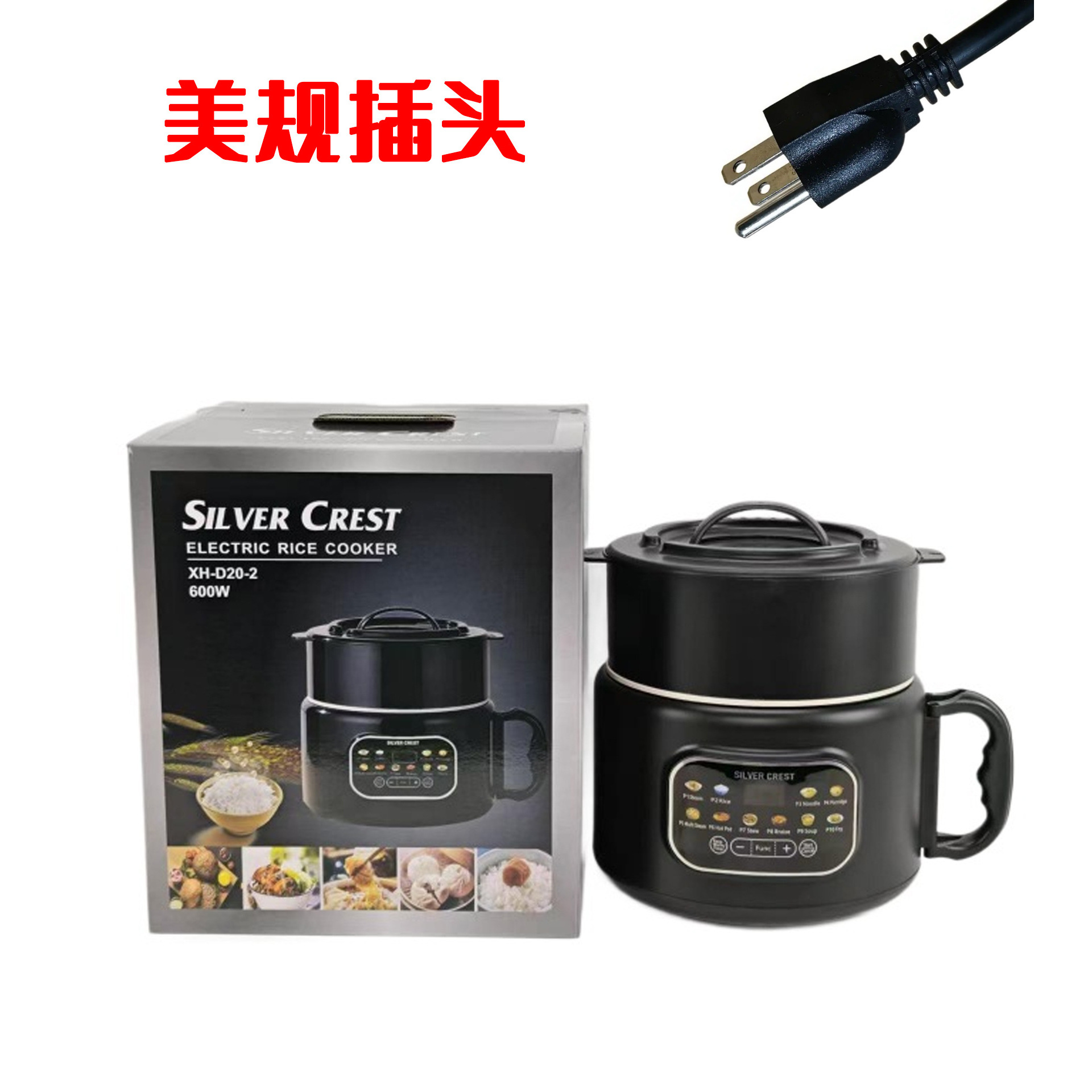 US standard plug [110V]