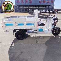Tricycle électrique de fret robuste 1200W avec batterie interchangeable, boîte ouverte, moto de livraison à 3 roues, cadre épaissi, haute capacité de charge