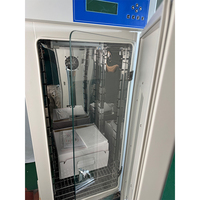 Incubateur électrique de haute qualité 0 ℃   ~65 ℃   Incubateurs à température et humidité constantes 202L Incubateur de laboratoire en acier inoxydable