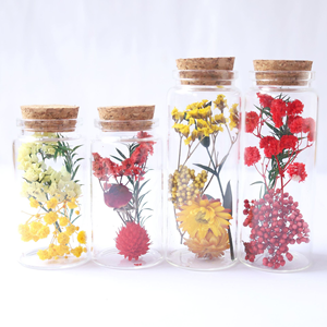 Souvenirs de mariage, fleurs réelles dans un bocal en verre, bouteille à vœux, mini tube à essai avec fleurs séchées <span class=keywords><strong>pour</strong></span> Diwali - Product Image 1